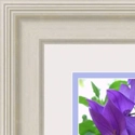 image of framed picture with a double mount