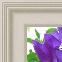 image of framed picture with no mount