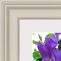 image of framed picture with a single mount