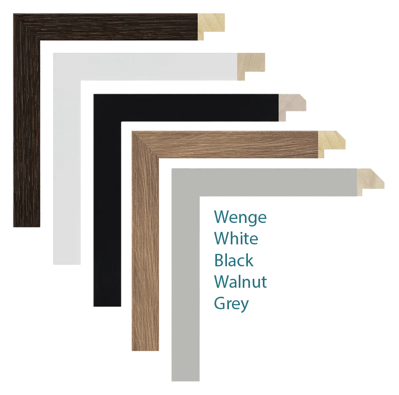 10 frame selection